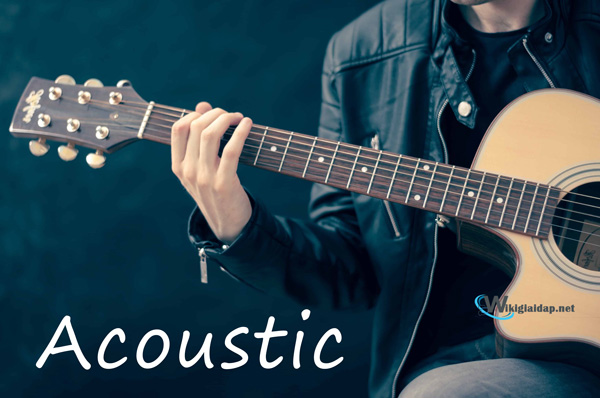 Nhạc Acoustic là thể loại nhạc chỉ sử dụng hoặc chủ yếu sử dụng các nhạc cụ mộc hoặc cổ điển