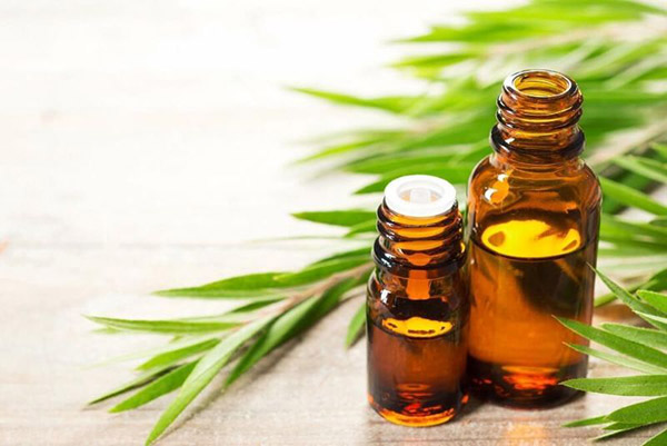 Cineol và α-Terpineol mang đến tính kháng khuẩn, làm sạch cao