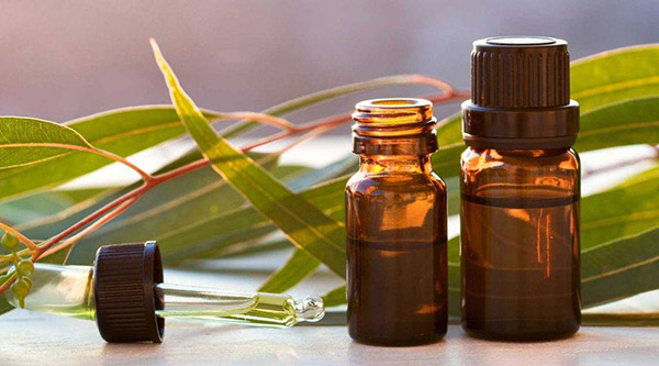 Giúp làm ấm cơ thể và giảm tình trạng ho nhiều