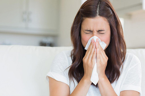 Tinh dầu tràm giúp đào thải dịch nhầy ra ngoài