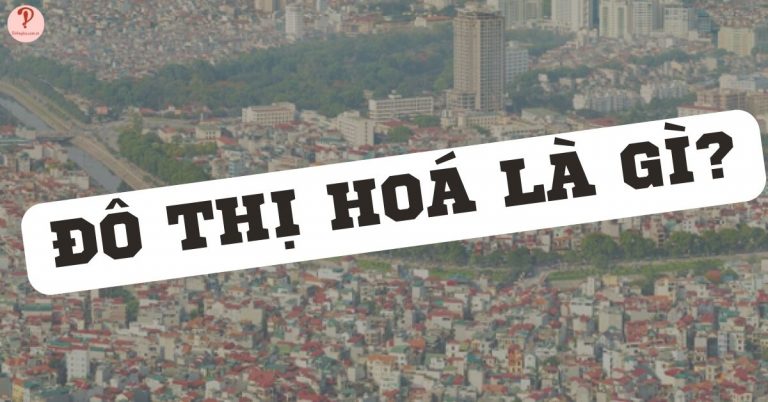 Đô thị hóa là gì? Đặc điểm và Ảnh hưởng của đô thị hóa