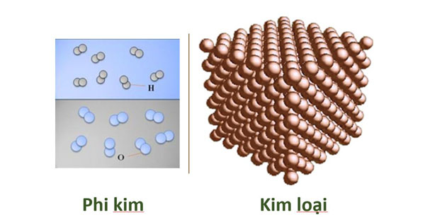 Đơn chất có thể phân chia thành 2 loại là đơn chất kim loại và đơn chất phi kim