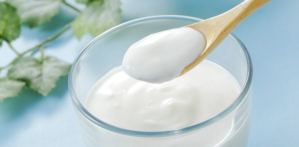 Sữa chua được sản xuất từ việc lên men