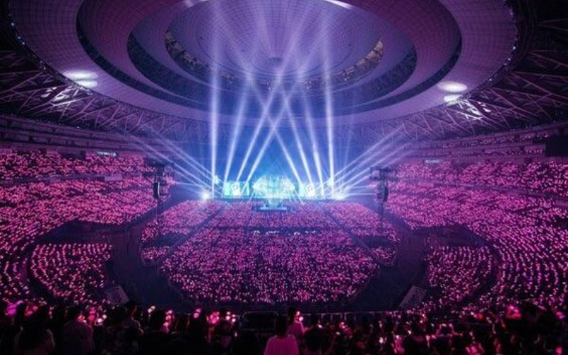 Fandom là từ để gọi người hâm mộ của từng nhóm nhạc