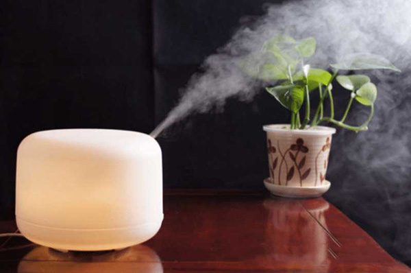 Máy khuếch tán tinh dầu kết hợp với tinh dầu tràm