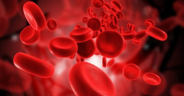 Chỉ số RBC là viết tắt của cụm từ Red Blood Cell, được hiểu là chỉ số lượng hồng cầu có trong máu