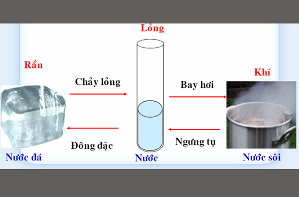 Nước có 3 thể là: Rắn, lỏng, khí đây được gọi là sự biến đổi chất