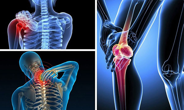 Chứa các vitamin và khoáng chất giúp ngăn ngừa loãng xương