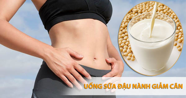 Sữa đậu nành giúp hệ tiêu hoá được hoạt động tốt hơn