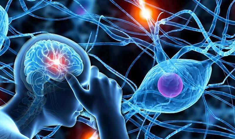 Độc tính thần kinh ngoại vi