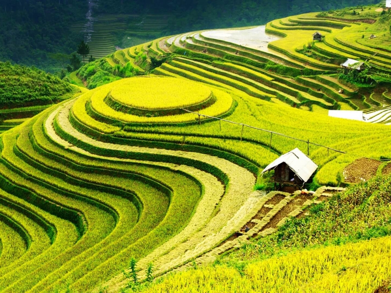 Giới thiệu chung về vùng trung du và miền núi Bắc Bộ