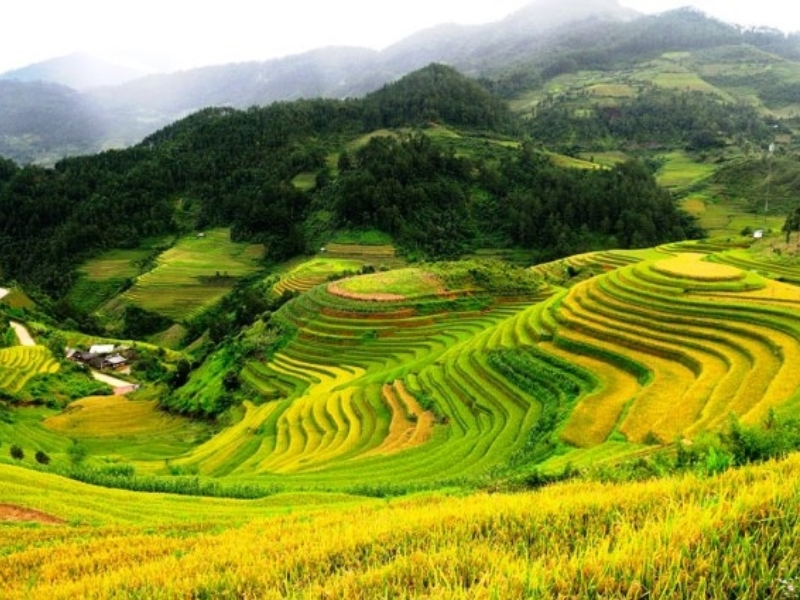 Vị trí địa lý