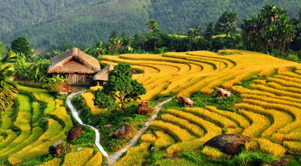 Đồng bào dân tộc có kinh nghiệm sản xuất