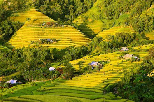 Có nhiều sản phẩm nổi tiếng như: chè, Mộc Châu, chè Tân Cương