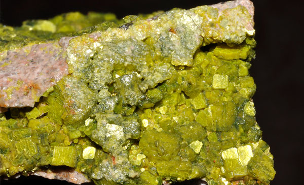 Urani hay uranium là nguyên tố hóa học có số thứ tự nguyên tử là 92 trong bảng HTTH thuộc nhóm Actini, ký hiệu là U