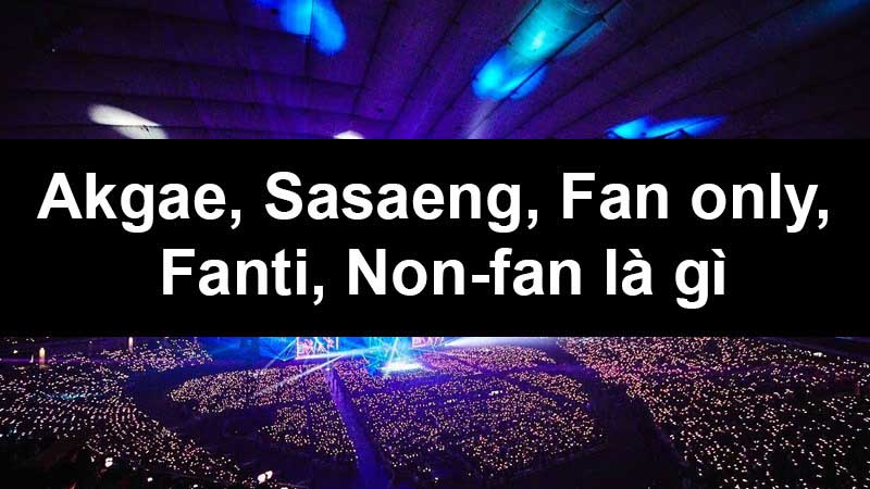 Akgae, Sasaeng, Fan only, Fanti, Non-fan là gì? Phân biệt những người yêu thích Kpop