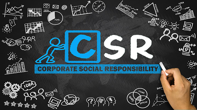 Xây dựng báo cáo phát triển bền vững (CSR Report)