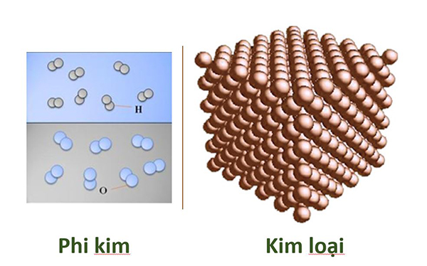 Đơn chất có thể phân chia thành 2 loại là đơn chất kim loại và đơn chất phi kim