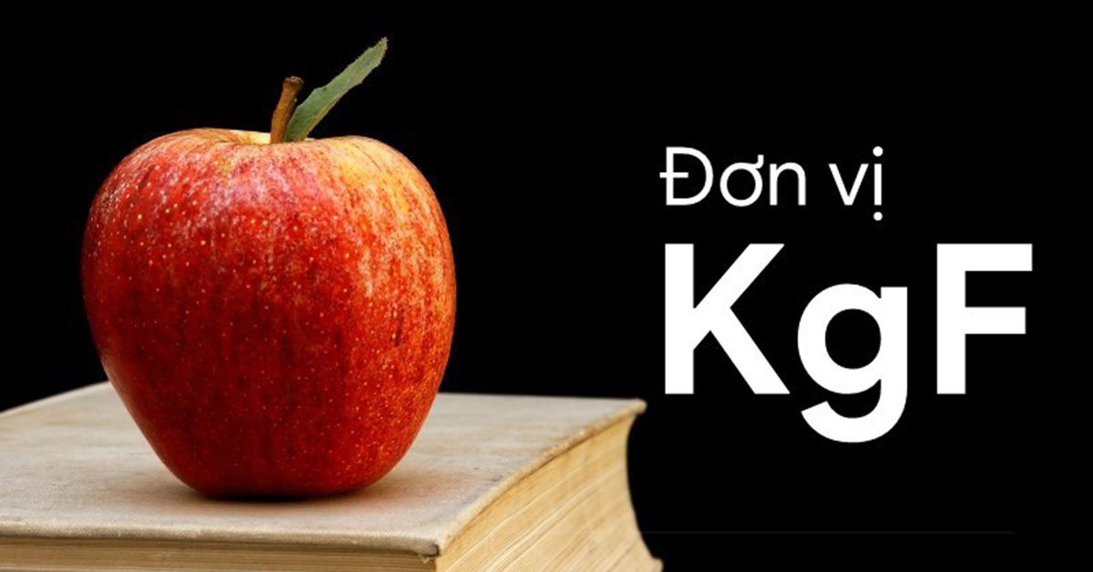 Đơn vị KgF là gì? Đổi đơn vị đo tải trọng KgF sang N (Newton)