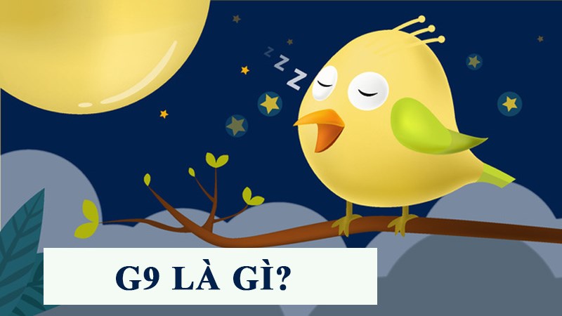 Top 10+ từ g9 là gì hay nhất 27 G9 là gì? Nguồn gốc, ý nghĩa và cách dùng từ G9