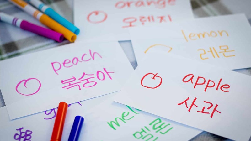 Việt Nam là quốc gia có nhu cầu học tiếng Hàn lớn trong các nước ở ASEAN