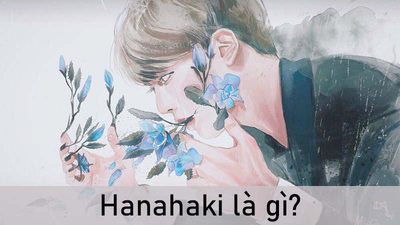 Hanahaki là gì? Nguồn gốc, triệu chứng, cách chữa bệnh Hanahaki