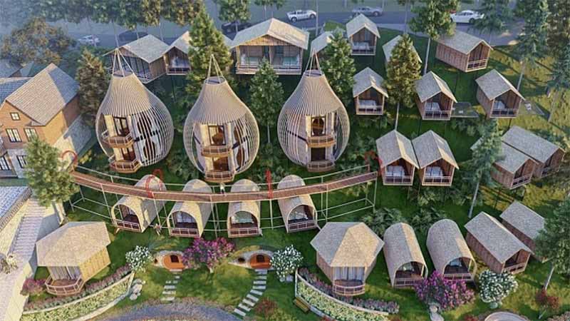 Homestay tổ chim Tam Đảo