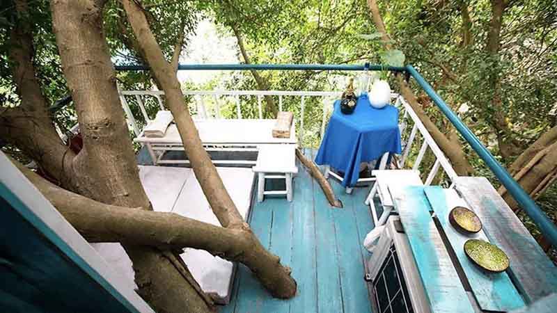 Homestay trên cây Hà Nội