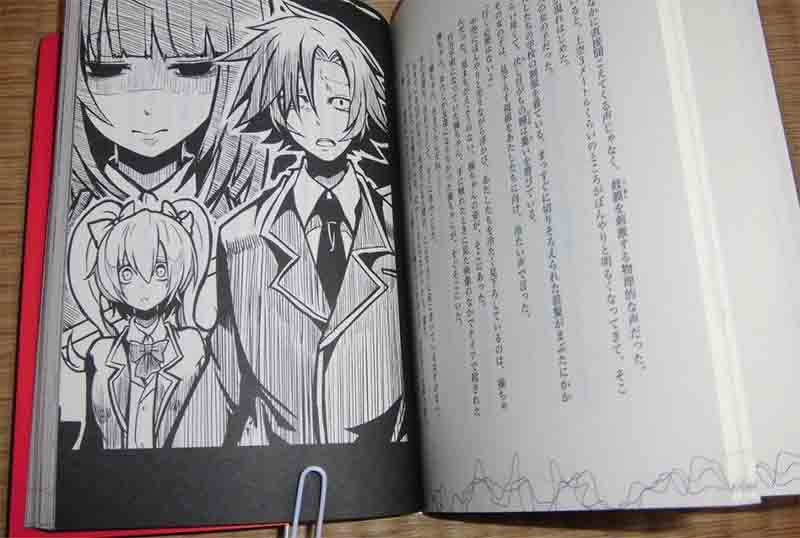 Light novel