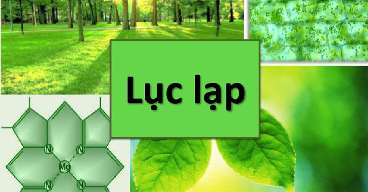 luc lap la gi