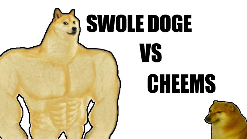 Swole Doge, hay còn gọi Chad Doge là "phiên bản 6 múi" của meme Doge