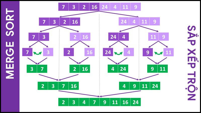 Merge sort là gì? Thuật toán sắp xếp trộn Merge sort trong C/C++