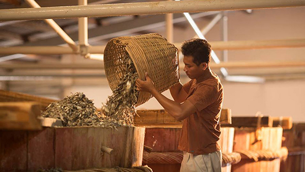 Nước mắm truyền thống được làm hoàn toàn theo phương pháp ủ chượp thủ công