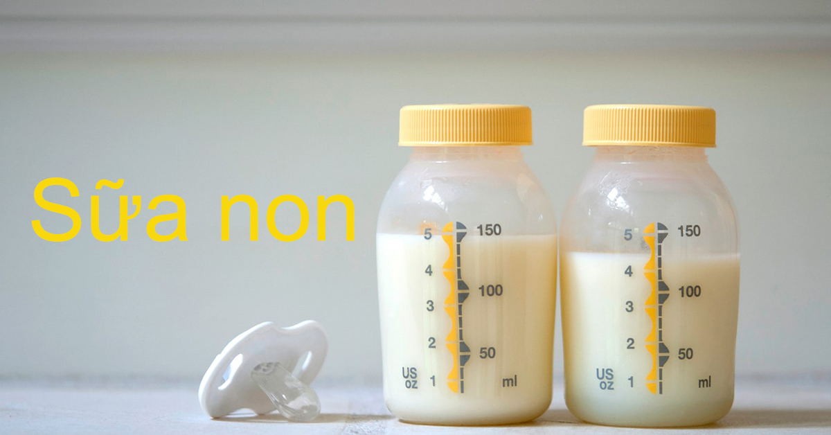 sữa non là gì