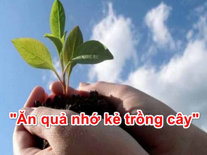 Ăn quả nhớ kẻ trồng cây