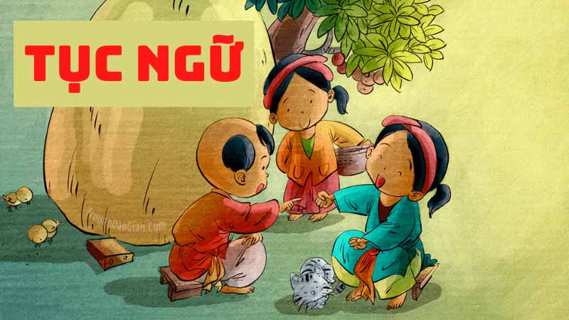 Tục ngữ là gì?