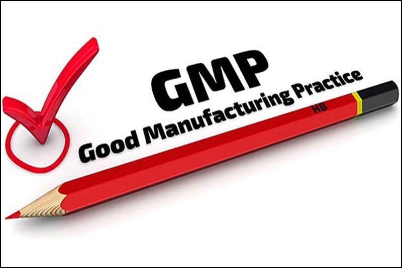 Khái niệm GMP
