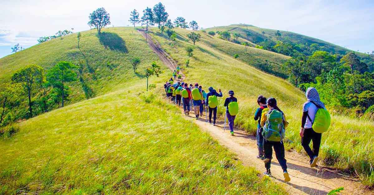 trekking là gì