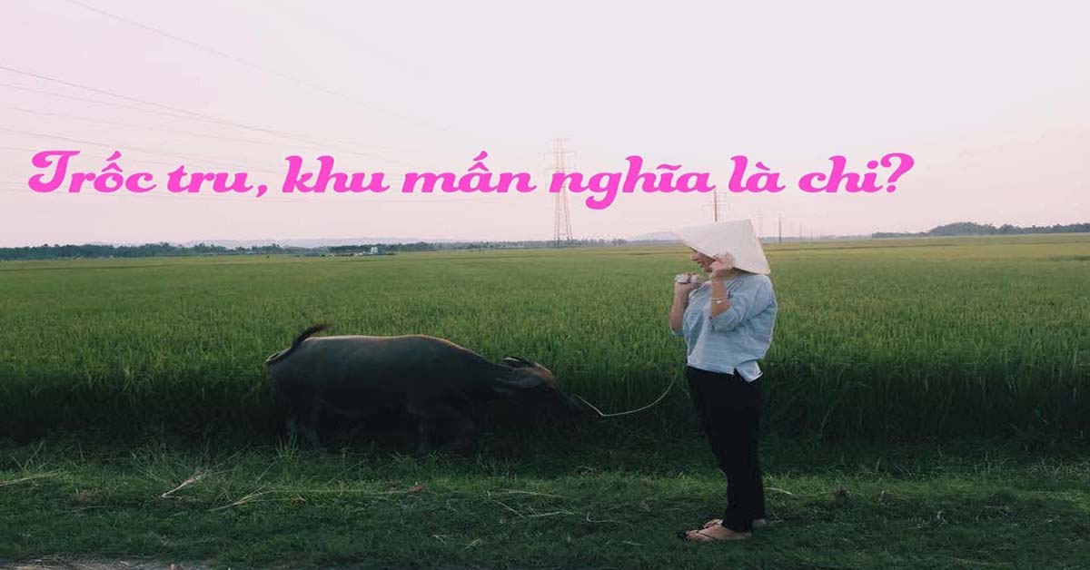 trốc tru tiếng miền trung là gì