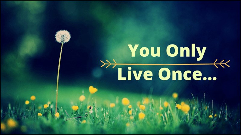YOLO là từ viết tắt của You Only Live Once có nghĩa là Bạn chỉ sống có một lần
