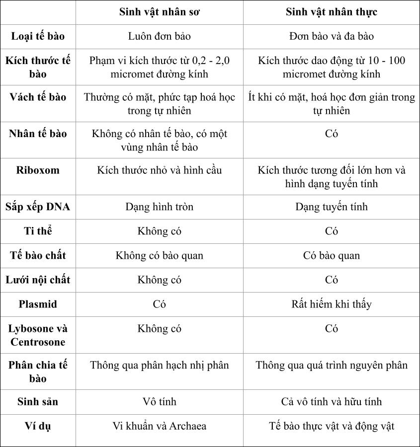Bảng so sánh tế bào nhân sơ và tế bào nhân thực