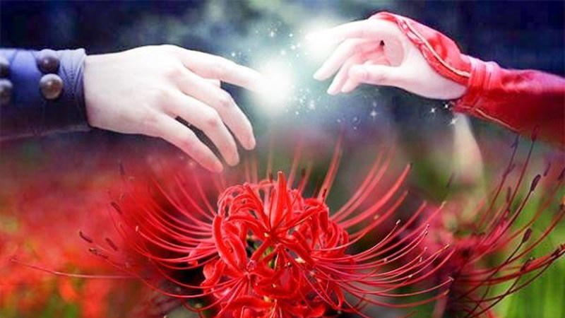 Truyền thuyết hoa bỉ ngạn - 1