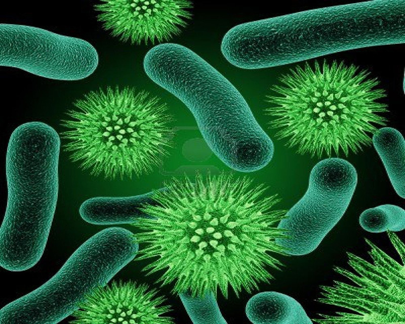 Tế bào prokaryote là gì?