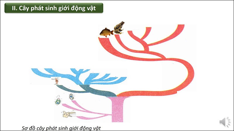 Cây phát sinh giới động vật là gì?