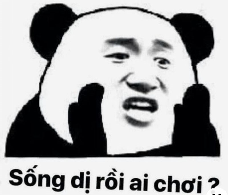 Meme gấu trúc Ching Chong 1