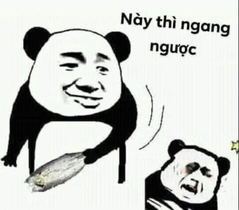 Meme gấu trúc Ching Chong 4
