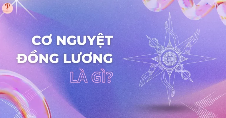 Cơ nguyệt đồng lương là gì? Kiến thức cơ bản về cơ nguyệt đồng lương