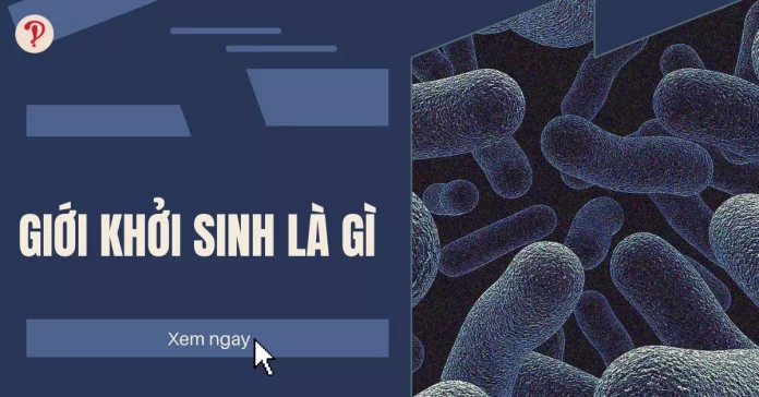 giới khởi sinh là gì