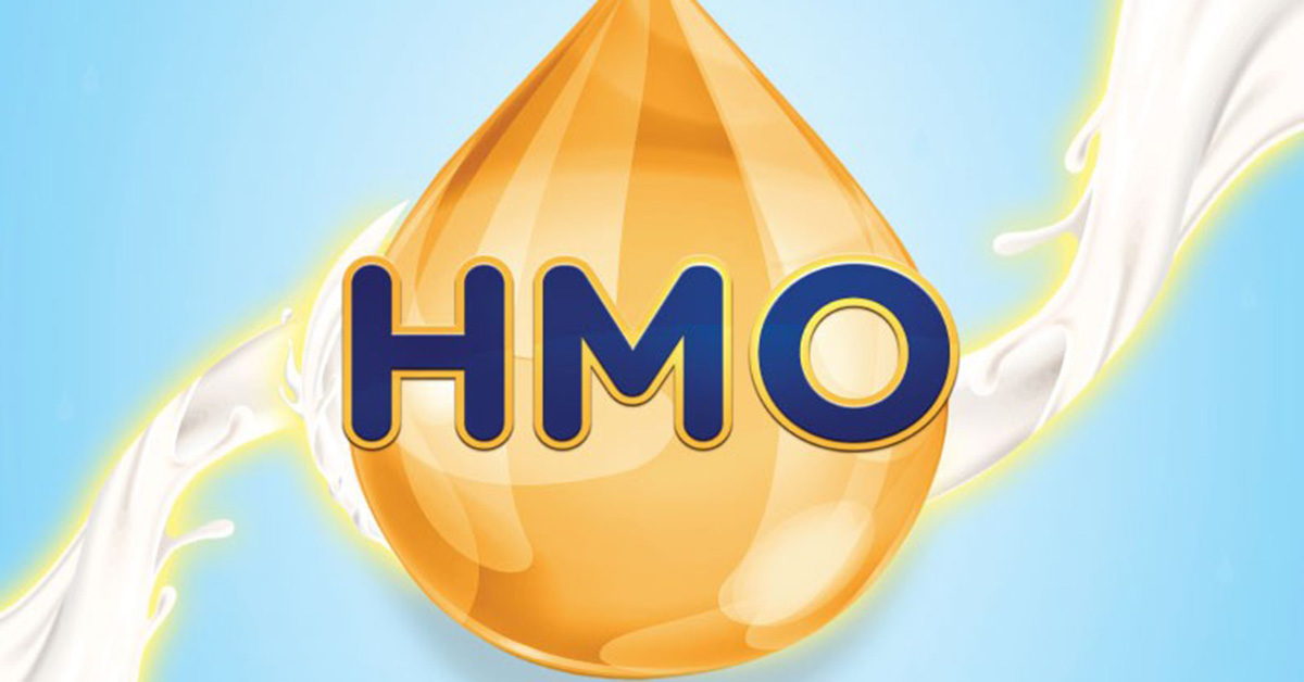 HMO là gì?