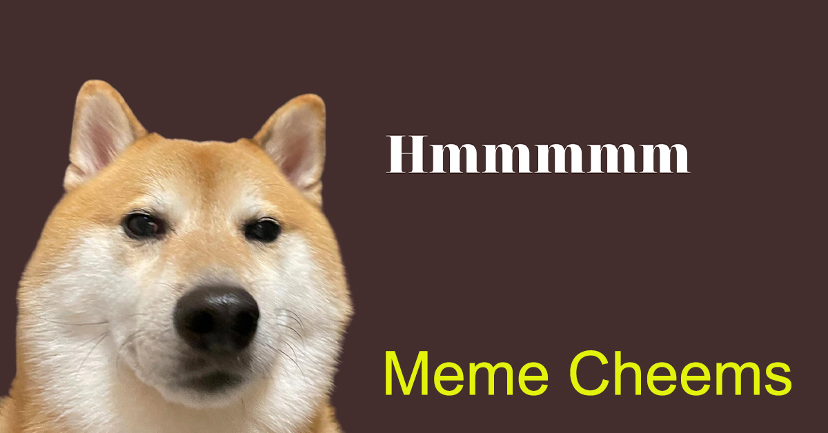 meme-cheems-la-gi-nguon-goc-y-nghia-cac-meme-hai-huoc-vui-nhon